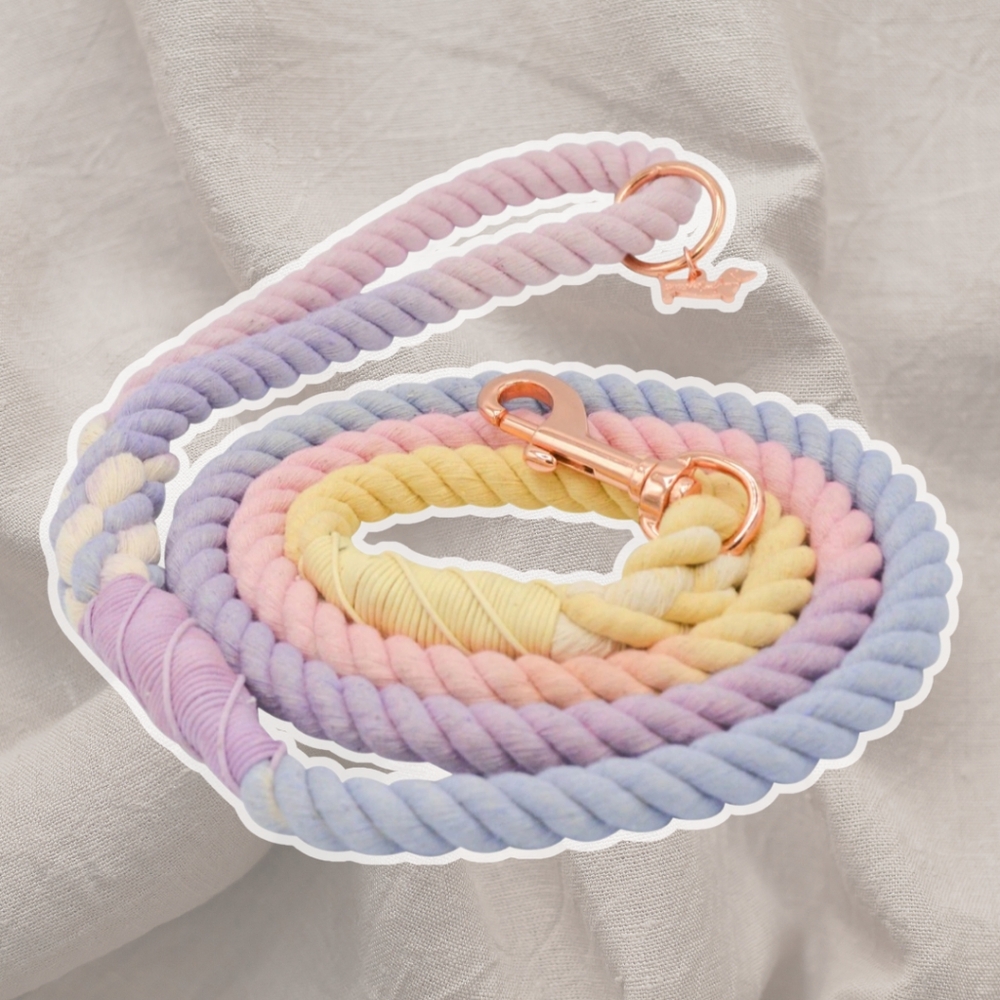 Sassy Woof - 5 Foot "Caroline" Pastel Ombre Cotton Twisted Rope Lead Dog Leash
